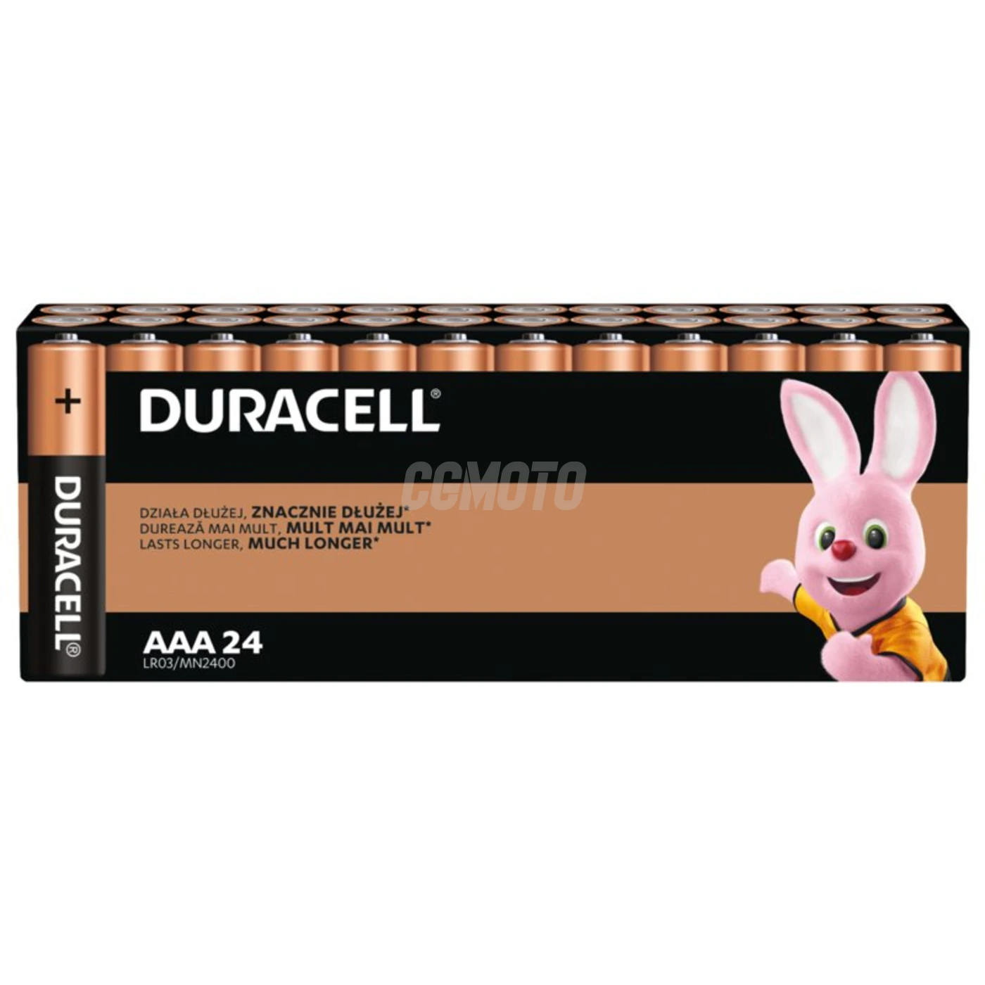 24 batterie alcaline AAA 1,5 V Basic 