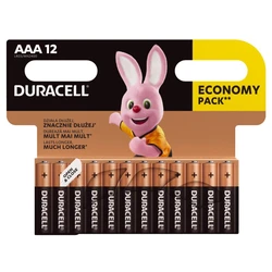 12 batterie alcaline AAA 1,5 V Basic 
