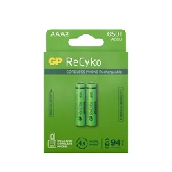 2 batterie ricaricabili NIMH AAA 1,2 V Recyko 650 mAh