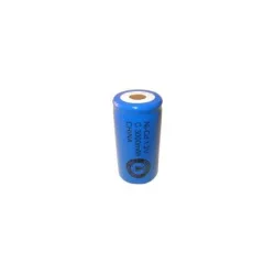 Pile NiCD C 3000 mAh tête plate - 1,2V - Evergreen